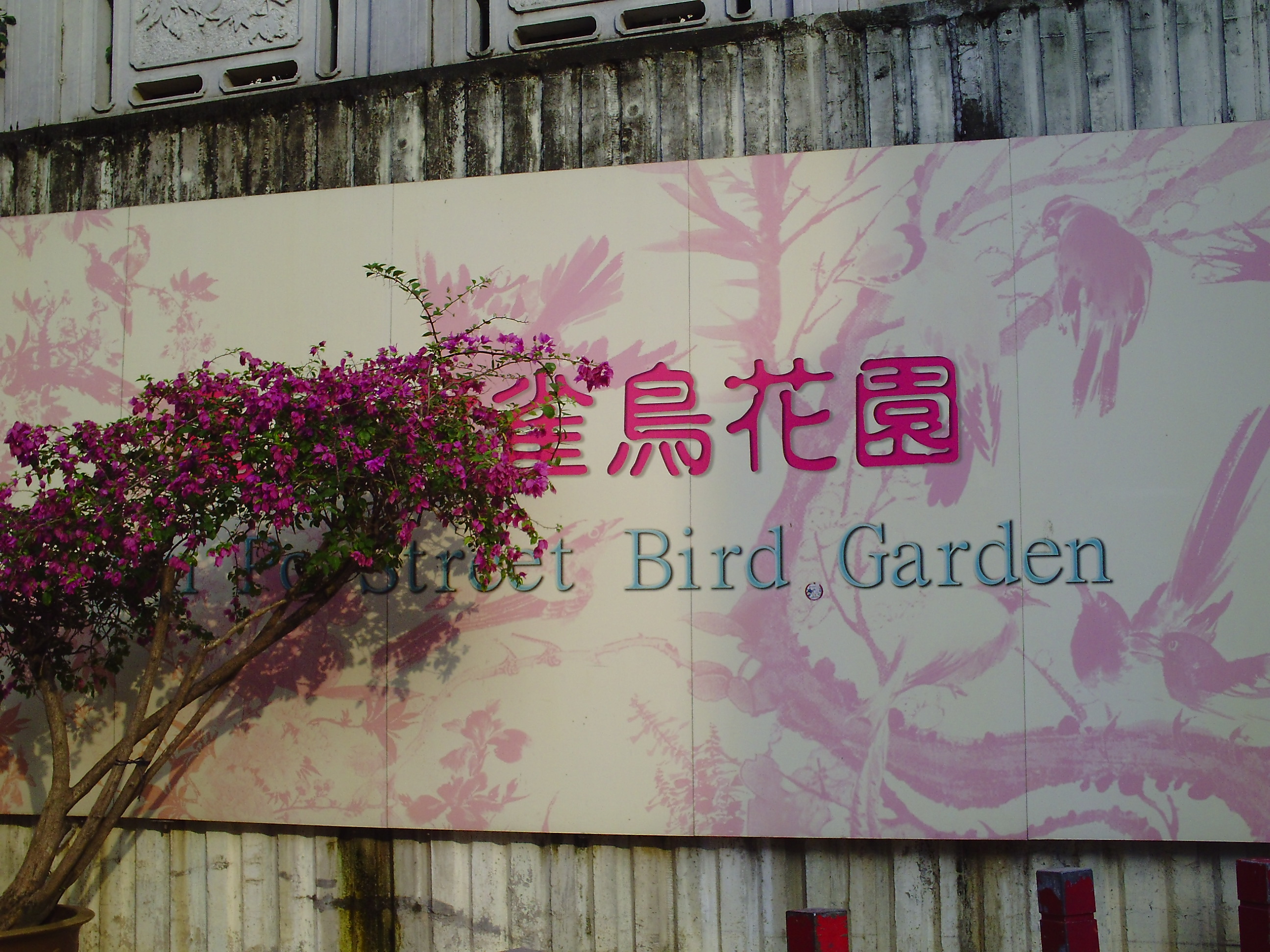 Bird Garden