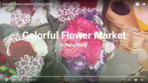 Colorful flower market of Hong Kong video screenshot