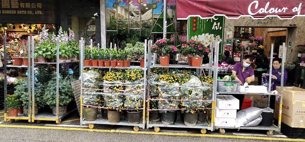 Flower market products