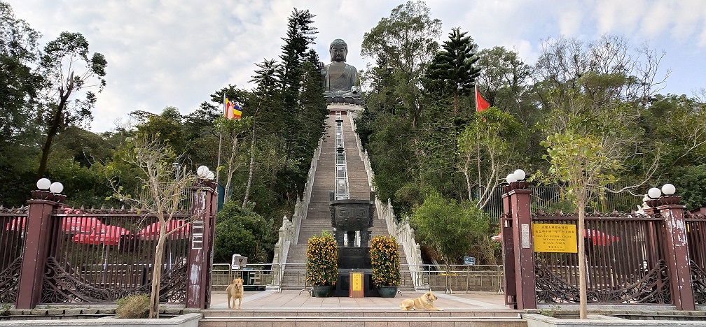 See Big Buddha at the Ngong Ping Piazza