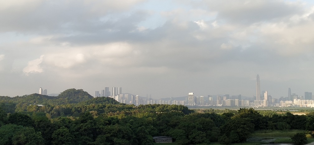 See amazing Shenzhen skyline from Hong Kong Wetland Park