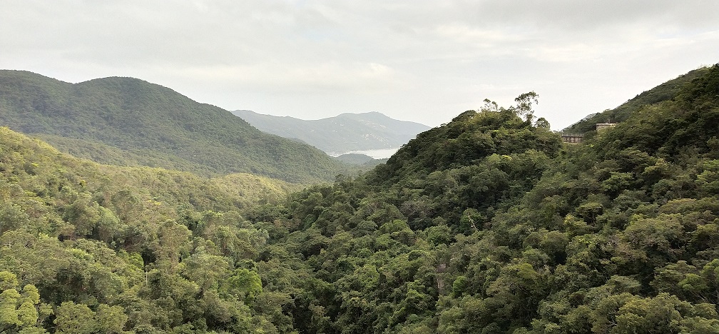 Hills and forest near the Tai Tam Waterworks.