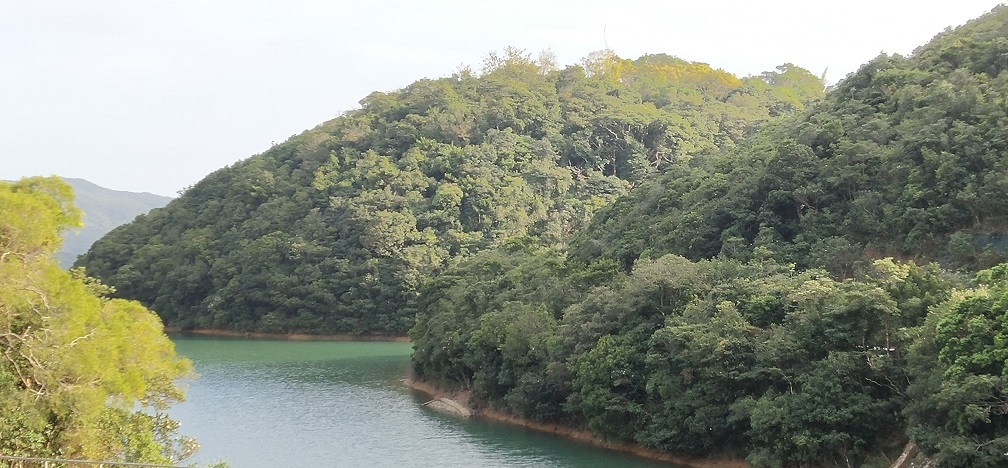 Nice scenery at Tai Tam Waterworks Heritage Trail.