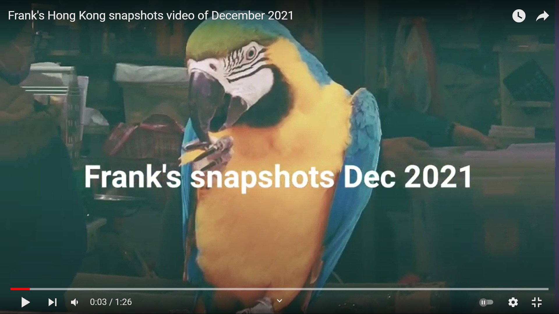 Frank’s Hong Kong snapshots video of December 2021