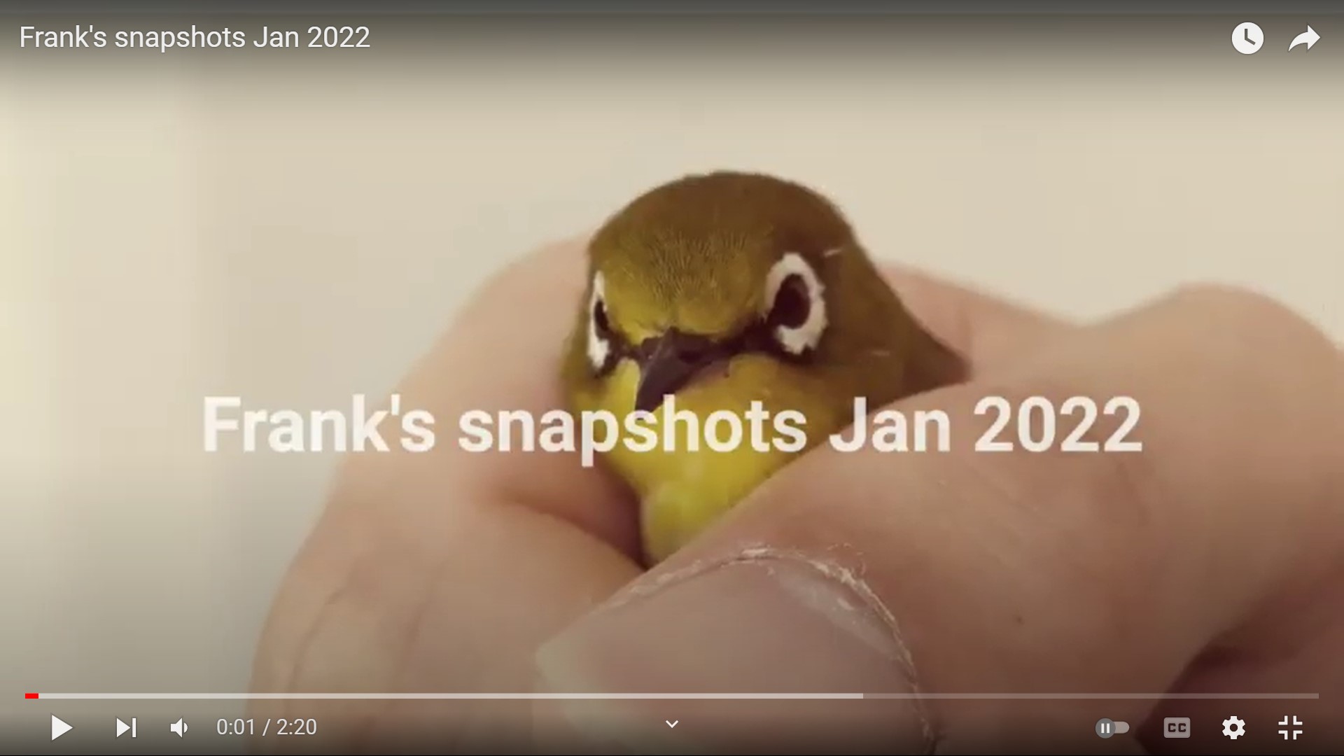 Frank’s Hong Kong snapshots video of January 2022